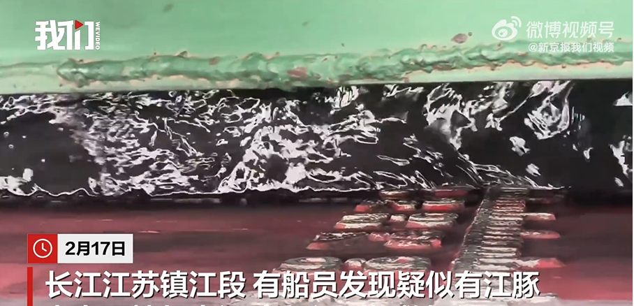 江豚死亡事件背后的生态警示